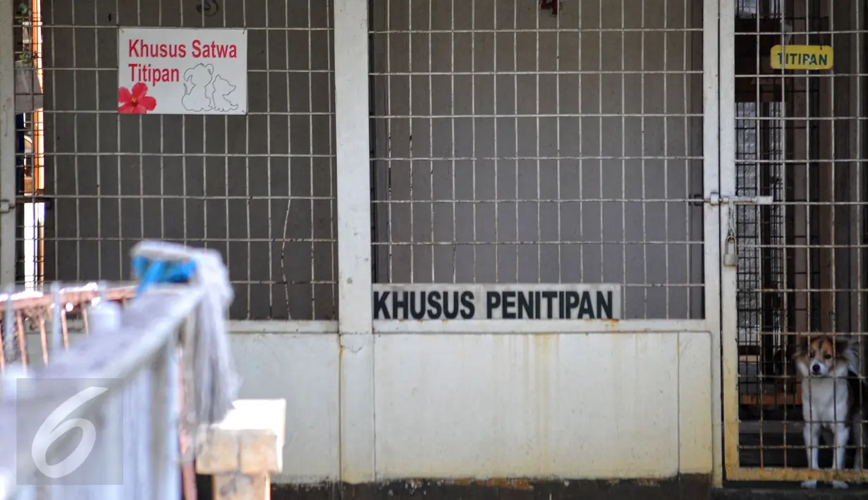 Tempat penitipan hewan Pondok Pengayom Satwa Jakarta (PPJS) di kawasan Pasar Minggu, Jakarta menjadi salah satu tempat yang dituju para pemudik untuk menitipkan hewan peliharaannya, Sabtu (18/7/2015). (Liputan6.com/Yoppy Renato)