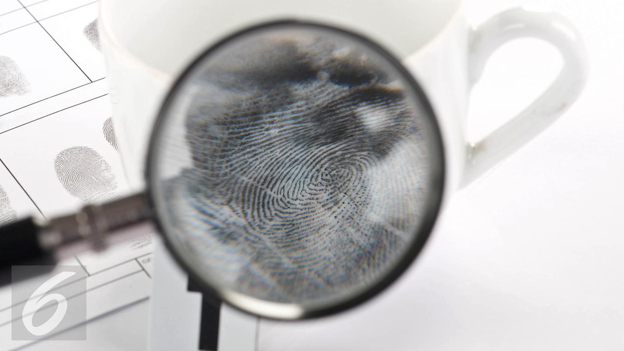 Penyelidikan Sidik Jari