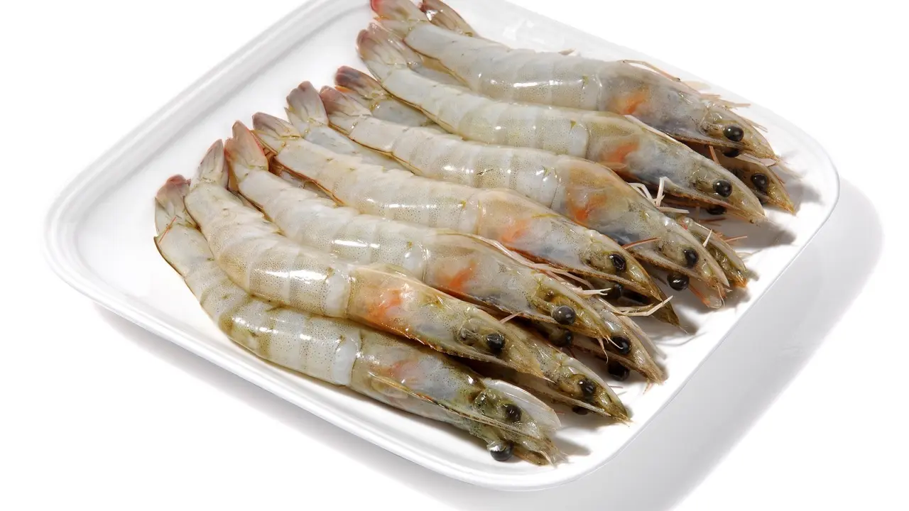 Ilustrasi udang