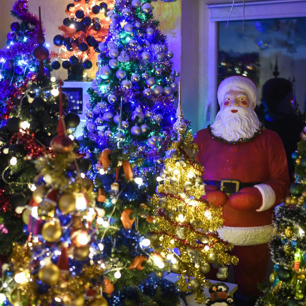 Makeup Artist Inggris Hias Bulu Mata Seperti Pohon Natal Lifestyle Liputan6 Com