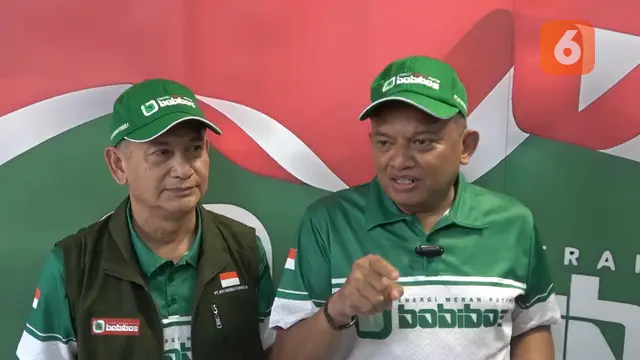 anggota DPR Mulyadi