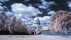 Pemandangan gedung Capitol yang dikelilingi pohon rimbun di Washington DC (26/9). Foto ini dihasilkan dengan menggunakan kamera atau teknik Inframerah. (AFP Photo/Andrew Caballero-Renolds)