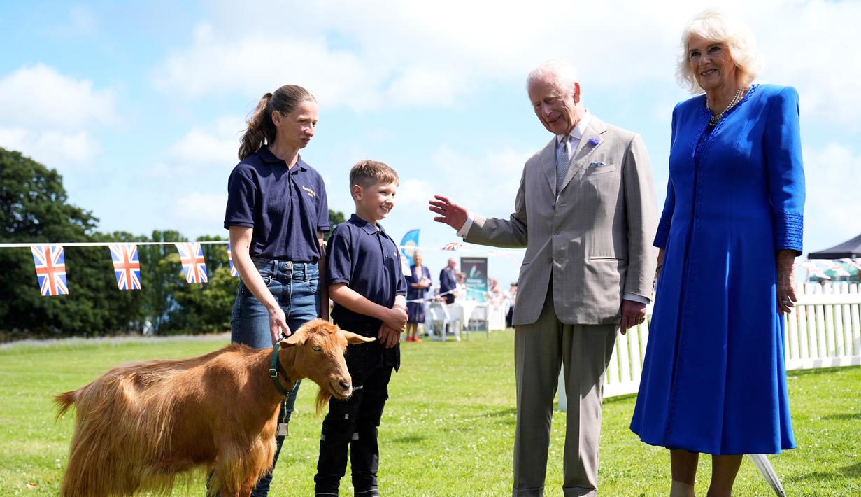 Mulai sekarang, jenis kambing yang dikenal karena hubungannya dengan pulau Guernsey ini akan memiliki gelar khusus Royal Golden Guernsey Goat. (Andrew Matthews / POOL / AFP)