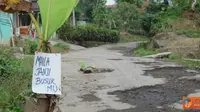 Jalan Raya Cipanas Galunggung, Desa Linggajati, Kecamatan Sukaratu,  Tasikmalaya yang rusak, ditanami pohon pisang sebagai bentuk protes warga.