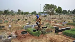 Seorang pekerja menyiram makam di TPU Karet Bivak, Jakarta, Rabu (7/10/2015).  Pengamat Tata Kota dari Universitas Trisakti Nirwono Yoga memprediksi DKI Jakarta akan mengalami krisis lahan makam pada 2017. (Liputan6.com/Gempur M Surya)