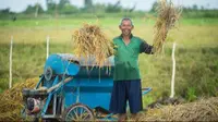 Petani di kawasan Food Estate Kalimantan Tengah. (Dok. Kementan)