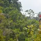Pekerja PLN Riau memasang jaringan listrik untuk desa terpencil di Provinsi Riau. (Liputan6.com/Istimewa)