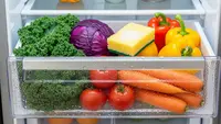 Cuma Pakai Spons Dapur, Ini Trik Bikin Sayur di Kulkas Lebih Tahan Lama