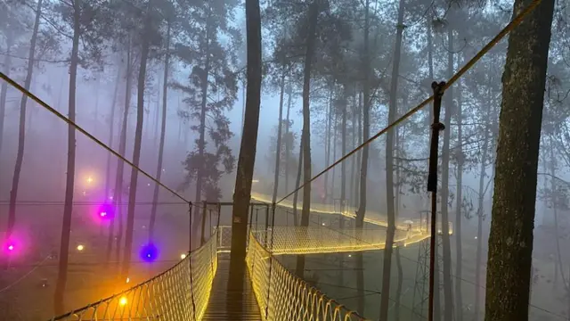 Penampakan indah Orchid Forest Cikole