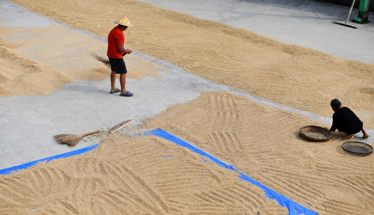 Para petani menjemur padi di Desa Shanghua di Kota Gaoniang, Wilayah Tianzhu, Prefektur Otonom Etnis Miao dan Dong Qiandongnan, Provinsi Guizhou, China barat daya (2/9/2020). (Xinhua/Yang Wenbin)