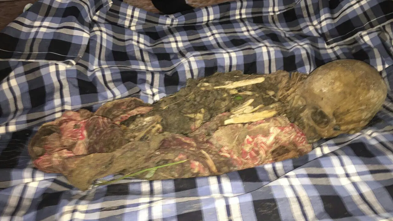 Teka-teki Tengkorak Manusia Bercincin Emas di Hutan Angker
