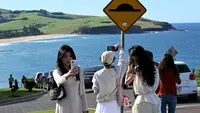 Jalan Terindah di Australia Picu Lonjakan Kunjungan Wisatawan, Warga Setempat Muak