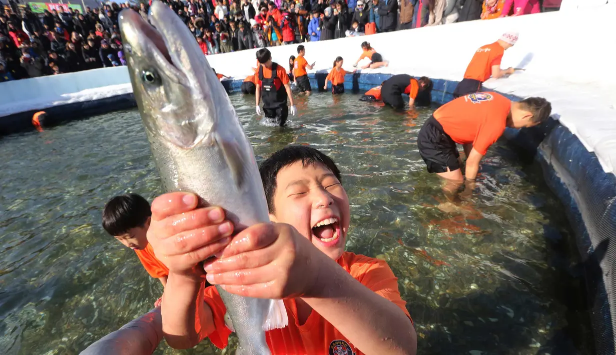 Seorang anak bergembira saat mendapatkan ikan selama lomba memancing ikan trout di sungai yang membeku di Hwacheon, Korea Selatan (6/1). (AP Photo/Ahn Young-joon)
