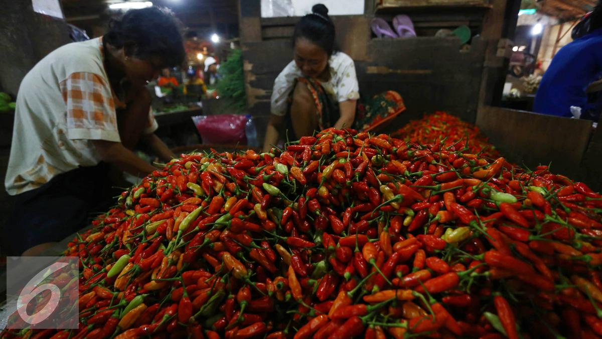 Harga Cabai Merah Keriting Jadi Rp 20 Ribu per Kg Usai Lebaran  Bisnis