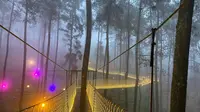 5 Wisata Lembang Ini Tak Boleh Dilewatkan di 2025, Ada Sky View yang Bikin Penasaran