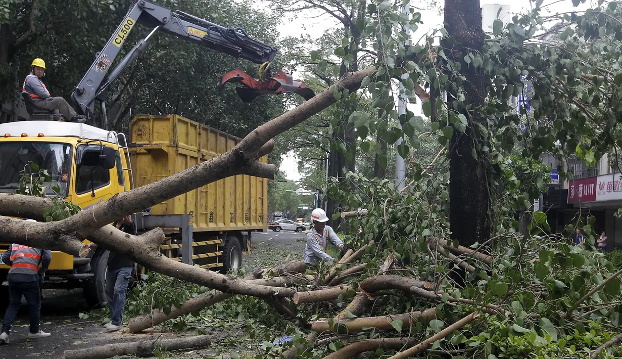 Petugas berusaha menyingkirkan pohon tumbang akibat diterjang Topan Dujuan di Taipei, Taiwan, Selasa (29/9/2015). 24 orang mengalami cedera akibat topan raksasa Dujuan. (REUTERS/Pichi Chuang)
