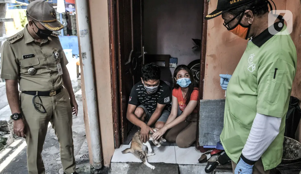 Petugas Suku Dinas Ketahanan Pangan, Kelautan, dan Perikanan (KPKP) Jakarta Pusat didampingi Camat Gambir Fauzi saat melakukan vaksinansi rabies sistem jemput bola di Gang Kingkit, Kelurahan Kebon Kelapa, Kecamatan Gambir, Jakarta, Selasa (3/11/2020). (merdeka.com/Iqbal S Nugroho)