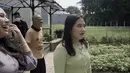 Kebun sayur Prilly Latuconsina (Youtube/ Prilly Latuconsina)