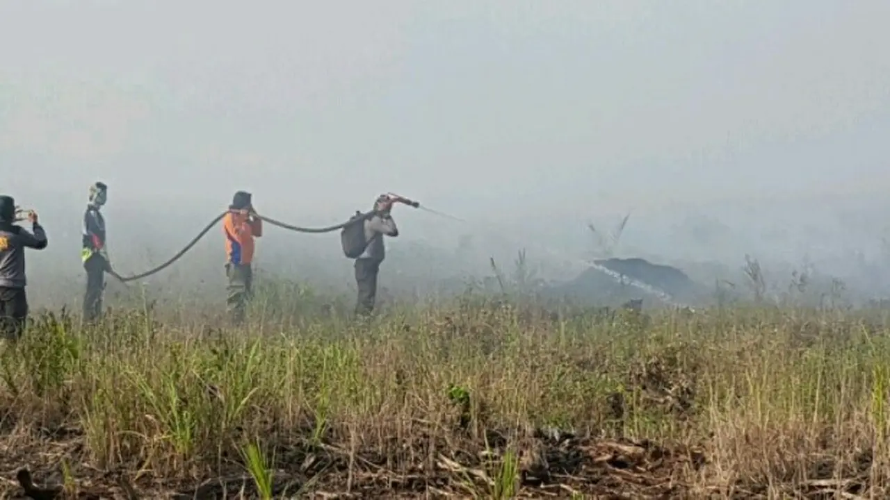 kebakaran hutan riau
