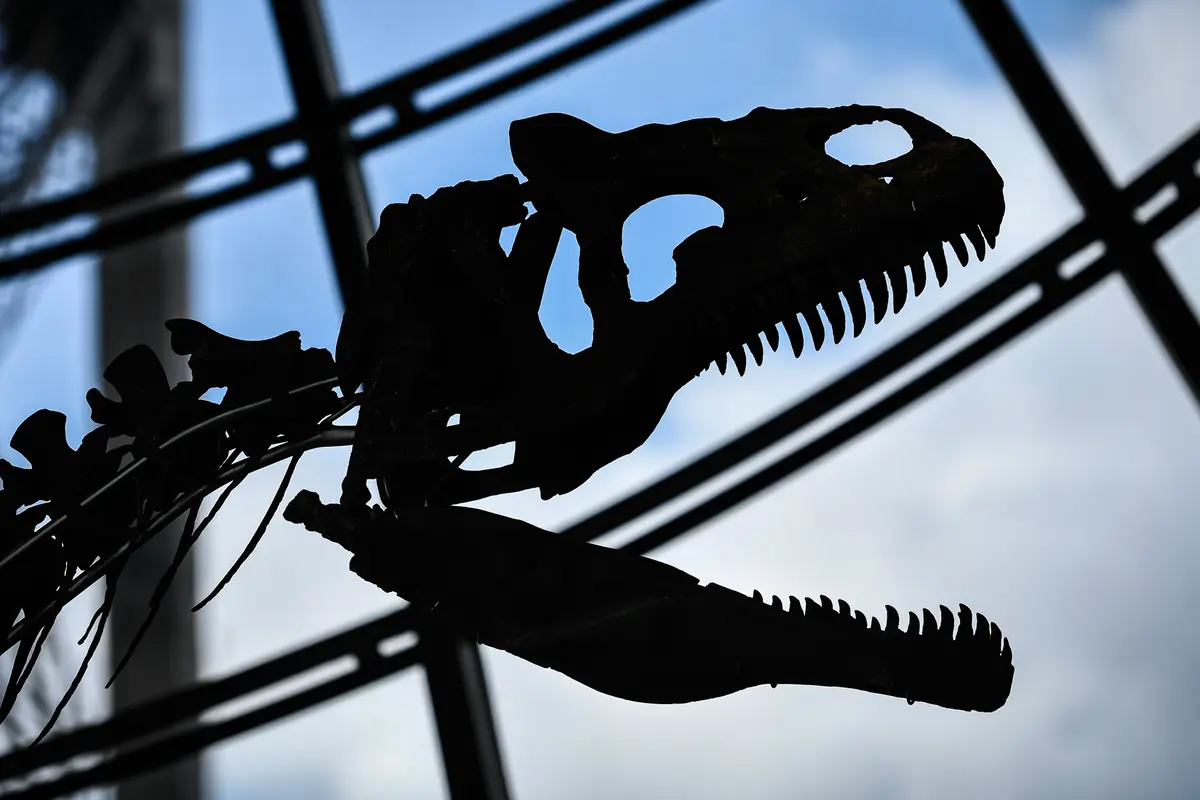 Dinosaurus