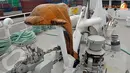 Dave, patung kayu lumba-lumba dari Kapal Greenpeace Rainbow Warrior pertama sampai ketiga yang selalu dipasang sebagai simbol perdamaian (Liputan6.com/Abdul Aziz Prastowo)
