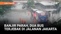 Banjir Rendam Mangga Dua Raya, Bus Transjakarta Tak Bisa Melintas