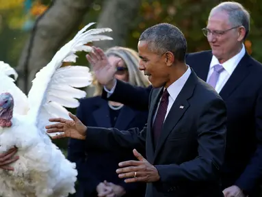 Reaksi Presiden AS Barack Obama saat seekor kalkun mengembangkan sayapnya di acara Thanksgiving di Rose Garden Gedung Putih, Washington, AS, Rabu (23/11). (REUTERS / Carlos Barria)