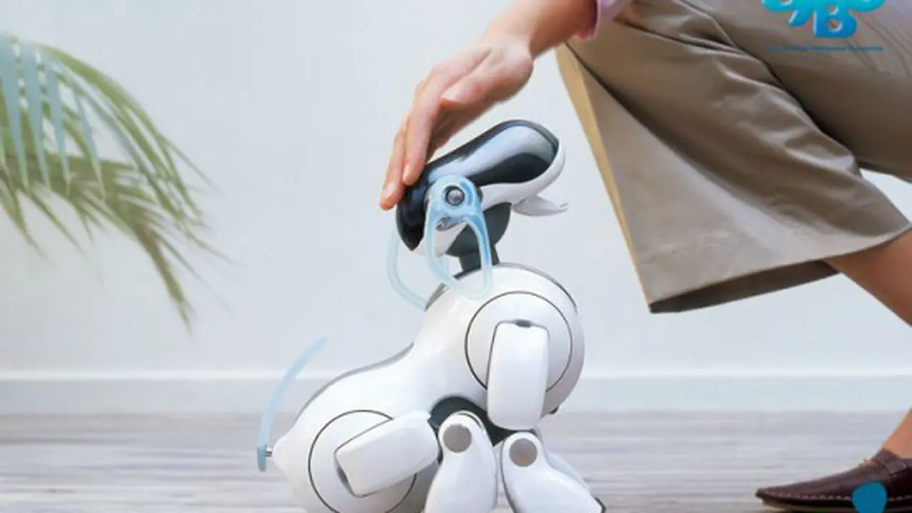 Robot Anjing Rusak, Warga Jepang Rela Buat Upacara Pemakaman