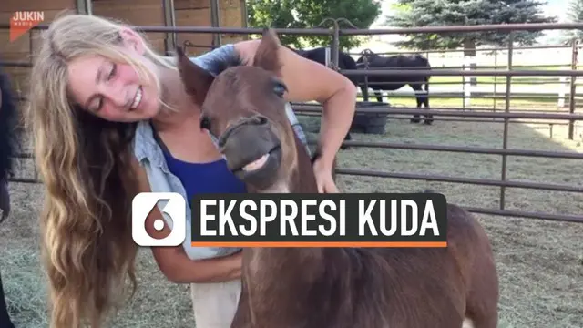 Sebuah video viral di media sosial yang menunjukkan seekor kuda tersenyum-senyum ketika seorang wanita cantik membelai lehernya.
