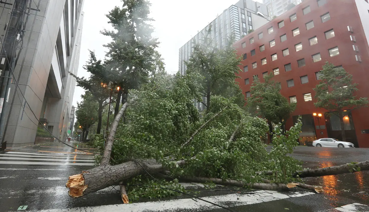 Pohon besar tumbang akibat angin topan jebi di jalan Midosuji di Osaka, (4/9). Topan Jebi yang melanda Jepang kali ini merupakan yang terkuat selama 25 tahun terakhir. (AFP Photo/Jiji Press)