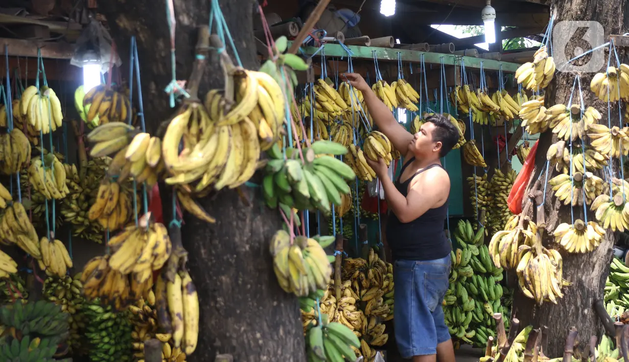 Aktivitas jual beli pisang di Pasar Lembang, Tangerang, Sabtu (3/10/2020). Pandemi Covid-19 berdamak pada permintaan pisang di pasar tersebut yang mengalami penurunan. (Liputan6.com/Angga Yuniar)