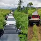 Niat menghindari macet, puluhan mobil ini justru terjebak jalan tanah di kebun singkong. (Sumber: Instagram/andreli_48)