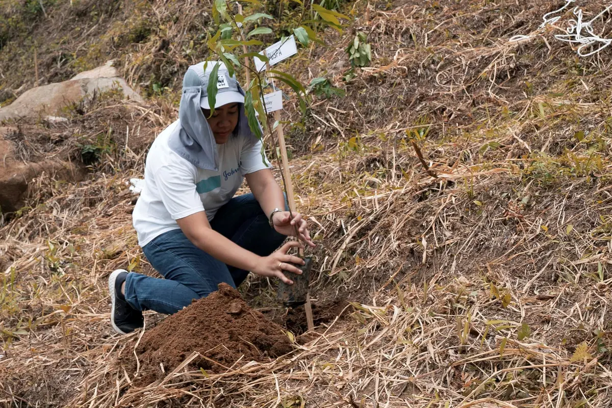Menanam pohon untuk lingkungan