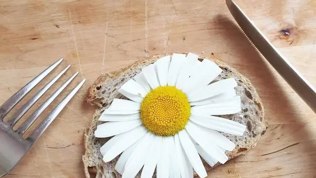 [Bintang] Menyalahi Kodrat, 10 Makanan Malah Jadi Menggemaskan!