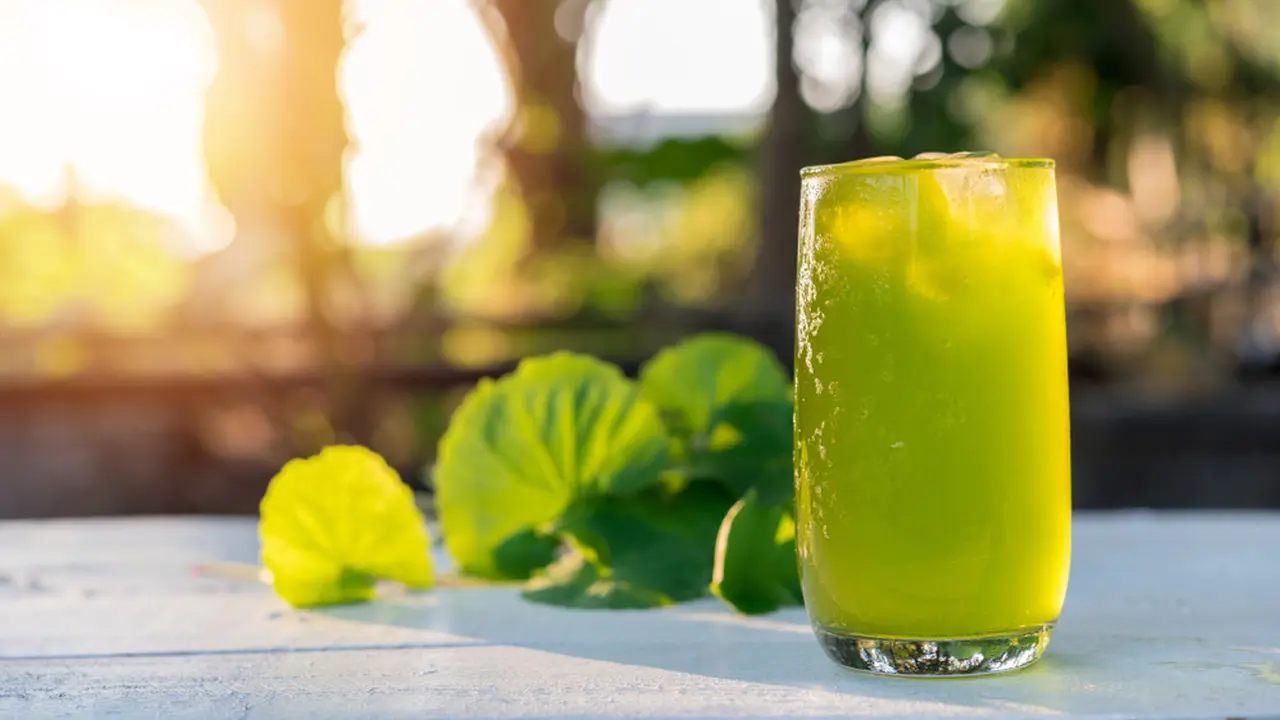 resep jamu centella asiatica