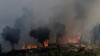 Kebakaran hutan terjadi di Lagoa, Portugal, Kamis (8/9). Dikabarkan lebih dari 100 ribu hektare hutan terbakar. (REUTERS / Miguel Vidal)