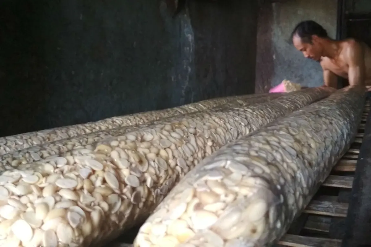 Respon Santai Produsen Tempe Cirebon Ditengah Gejolak Kenaikan Harga