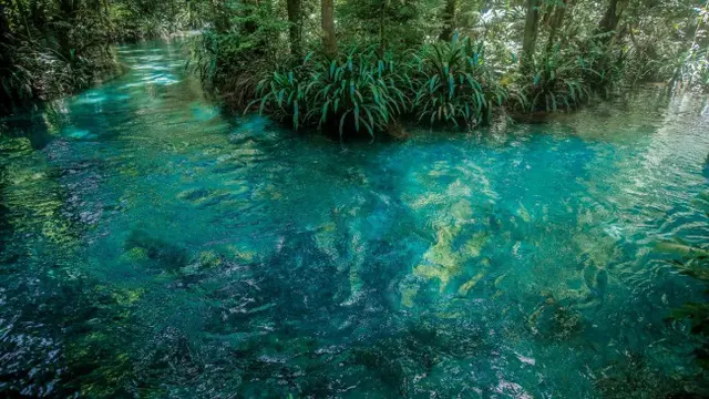 Pesona Alam Kalibiru, Wisata Tersembunyi Papua yang Eksotis