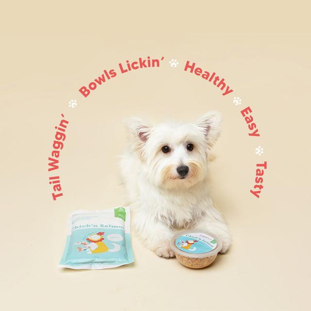 Berawal dari kecintaannya terhadap hewan peliharaan, Valerie Amintohir, Tania Suganda, dan Stephani Herman memutuskan mendirikan usaha menjual makanan Healthy & Natural Dog Catering dengan brand “Pawmeals”.