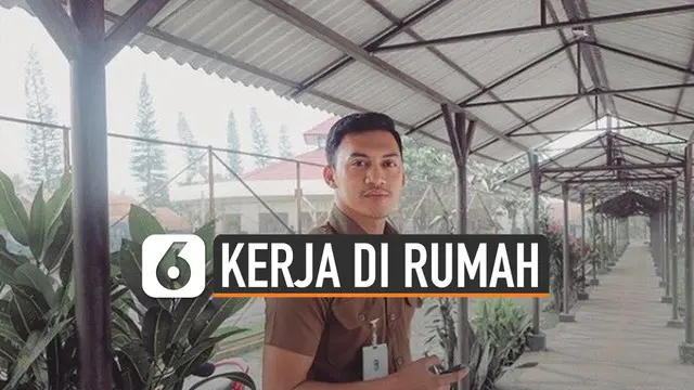 VIDEO: Sistem PNS Kerja di rumah yang Segera Diuji Coba