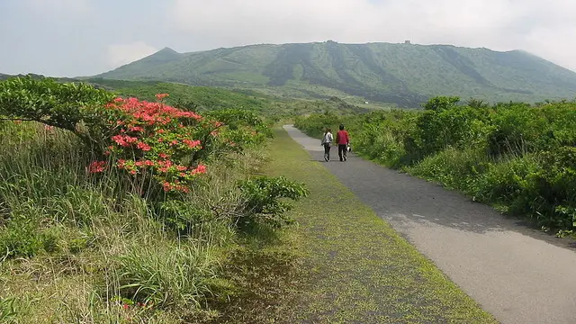 Pulau Izu