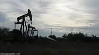 RI Mulai Kehilangan Kesimbangan Sumber Energi