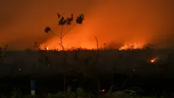 Api dari kebakaran lahan gambut menerangi langit malam di Kampar, Riau, Senin (9/9/2019). Sulitnya sumber air di lokasi kebakaran menjadi kendala petugas untuk memadamkan bara api yang menghanguskan sedikitya lima hektare lahan gambut di kawasan tersebut.  (Wahyudi / AFP)