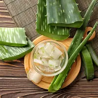 ilustrasi 5 Manfaat Lidah Buaya untuk Rambut yang Kusam dan Kering/ Pixel-Shot/shutterstock