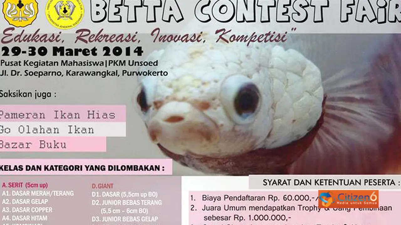 Purwokerto Kontes Ikan Cupang Hias Nasional 2014