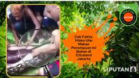 Penelusuran klaim video ular memakan perempuan di Citraland Jakarta.