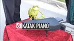 Seorang pengamen memodifikasi suaru alat khusus yang bisa membuat boneka katak seperti mahir bermain piano. Alunan merdu dari sang katak membuat warga yang menonton terpukau.