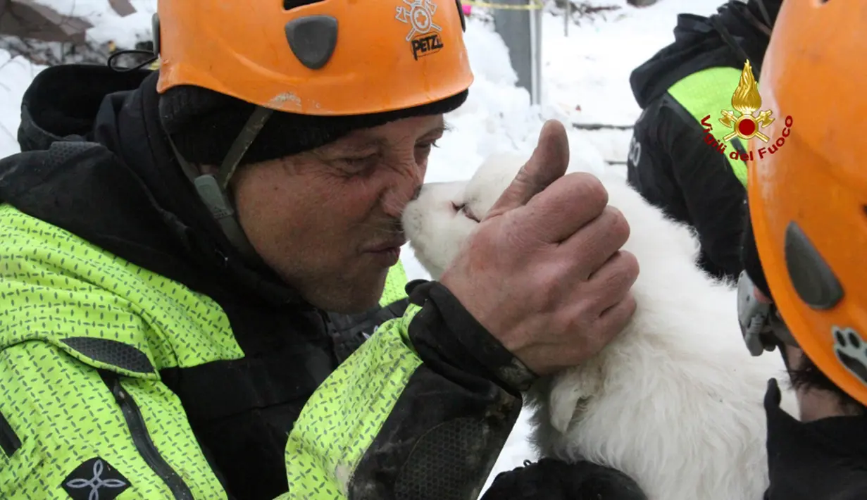 Seorang petugas pemadam kebakaran Italia mencium anak anjing yang selamat dari reruntuhan Hotel Rigopiano di Farindola, Italia (23/1). Sebelumnya, longsoran salju telah melanda Hotel Rigopiano di Kota Farindola. (Fabio Gatto/ Vigili Del Fuoco / AFP)