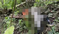 2 Pendaki Gunung Piramid Ditemukan Tewas di Jurang