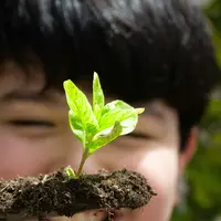 Anak jadi lebih peka dan peduli pada makhluk hidup serta lingkungan di sekitarnya. (Foto: Andrea Sánchez/Unsplash)